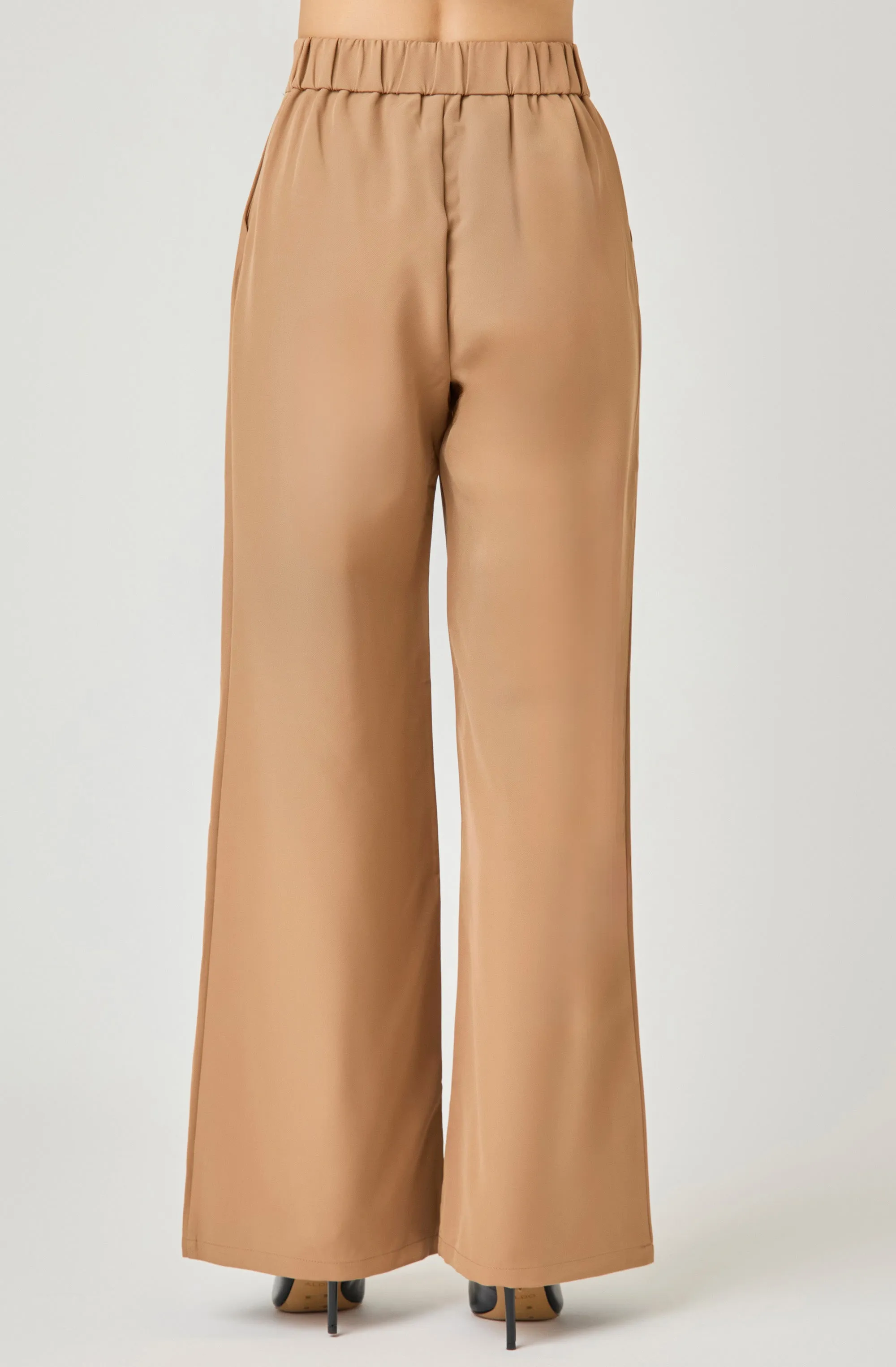 Wide Leg Pant with Elastic Back